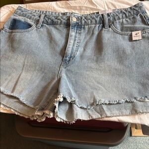 Time and Tru Light Blue Distressed Denim Shorts